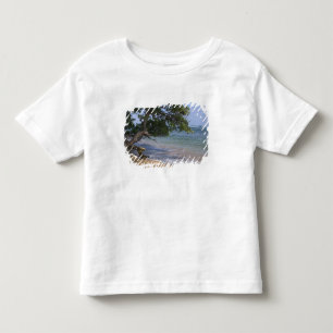 VS, Hawaï, Kauai, strand landschap. RF) Kinder Shirts
