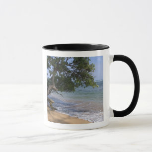 VS, Hawaï, Kauai, strand landschap. RF) Mok