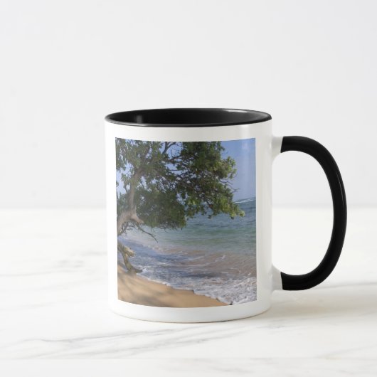 VS, Hawaï, Kauai, strand landschap. RF) Mok (Rechts)