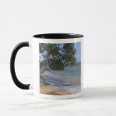 VS, Hawaï, Kauai, strand landschap. RF) Mok (Links)