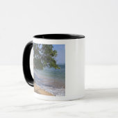 VS, Hawaï, Kauai, strand landschap. RF) Mok (Voorkant links)