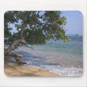 VS, Hawaï, Kauai, strand landschap. RF) Muismat