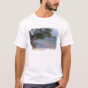 VS, Hawaï, Kauai, strand landschap. RF) T-shirt