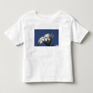 VS, Hawaï, Kauai, witte plumeria. Kinder Shirts