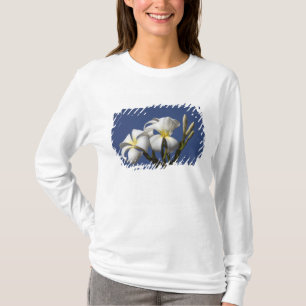 VS, Hawaï, Kauai, witte plumeria. T-shirt