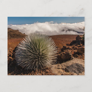 VS, Hawaï, Maui, Haleakala National Park Briefkaart