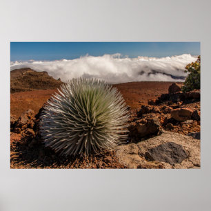 VS, Hawaï, Maui, Haleakala National Park Poster