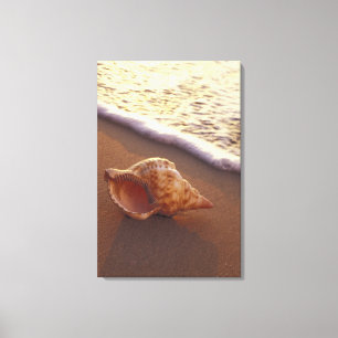 VS, Hawaï, Maui, Kihei, Avondlicht op Canvas Afdruk
