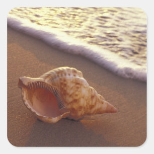 VS, Hawaï, Maui, Kihei, Avondlicht op Vierkante Sticker