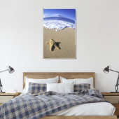 VS, Hawaï, Maui, Makena Beach, Zeester en Canvas Afdruk (Insitu (Slaapkamer))