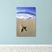 VS, Hawaï, Maui, Makena Beach, Zeester en Canvas Afdruk (Insitu (Houten vloer))