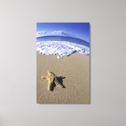 VS, Hawaï, Maui, Makena Beach, Zeester en Canvas Afdruk (Voorkant)