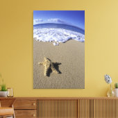 VS, Hawaï, Maui, Makena Beach, Zeester en Canvas Afdruk (Insitu (Woonkamer))