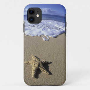 VS, Hawaï, Maui, Makena Beach, Zeester en iPhone 11 Hoesje