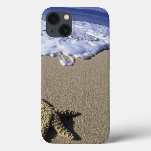 VS, Hawaï, Maui, Makena Beach, Zeester en Case-Mate iPhone Case (Achterkant)