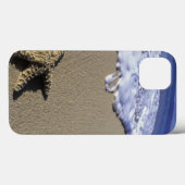 VS, Hawaï, Maui, Makena Beach, Zeester en Case-Mate iPhone Case (Achterkant (horizontaal))
