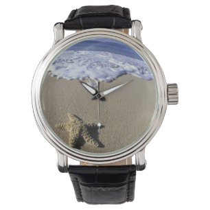 VS, Hawaï, Maui, Makena Beach, Zeester en Horloge