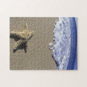 VS, Hawaï, Maui, Makena Beach, Zeester en Legpuzzel (Horizontaal)