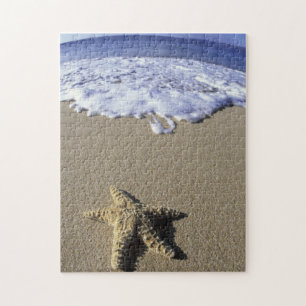 VS, Hawaï, Maui, Makena Beach, Zeester en Legpuzzel