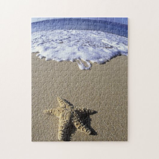VS, Hawaï, Maui, Makena Beach, Zeester en Legpuzzel (Verticaal)