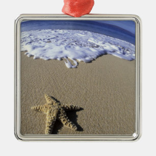 VS, Hawaï, Maui, Makena Beach, Zeester en Metalen Ornament