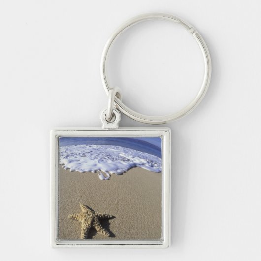 VS, Hawaï, Maui, Makena Beach, Zeester en Sleutelhanger (Voorkant)