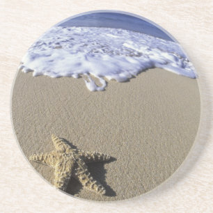 VS, Hawaï, Maui, Makena Beach, Zeester en Zandsteen Onderzetter