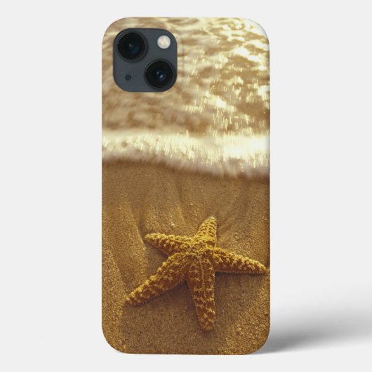 VS, Hawaï, Maui, Maui, Kihei, Zeester Case-Mate iPhone Case (Achterkant)