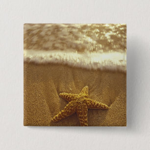 VS, Hawaï, Maui, Maui, Kihei, Zeester en Vierkante Button 5,1 Cm