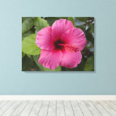 VS, Hawaï, Oahu. De Hibiscus is de 2 Canvas Afdruk (Insitu (Houten vloer))