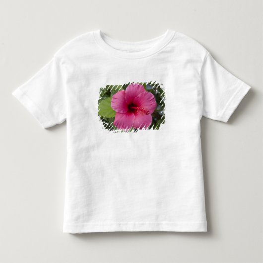VS, Hawaï, Oahu. De Hibiscus is de 2 Kinder Shirts (Voorkant)