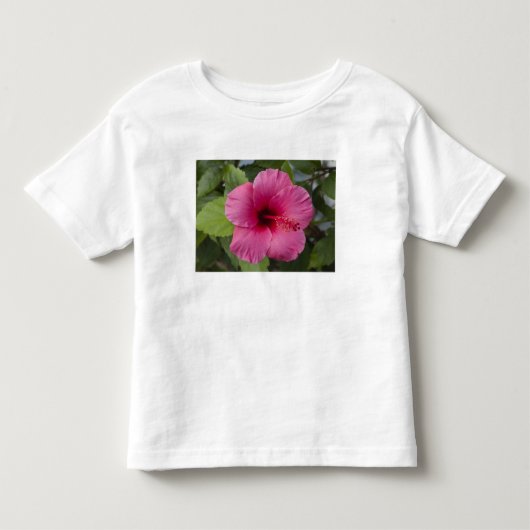 VS, Hawaï, Oahu. De hibiscus is de 2 Kinder Shirts (Voorkant)