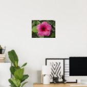 VS, Hawaï, Oahu. De Hibiscus is de 2 Poster (Thuiskantoor)