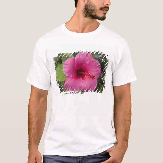 VS, Hawaï, Oahu. De Hibiscus is de 2 T-shirt (Voorkant)