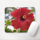 VS, Hawaï, Oahu. De Hibiscus is de Muismat (Met muis)