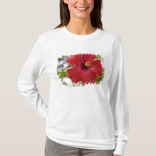 VS, Hawaï, Oahu. De Hibiscus is de T-shirt (Voorkant)