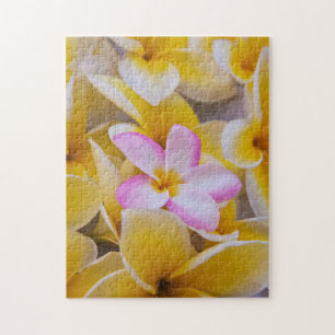 VS, Hawaï, Oahu, Plumeria bloemen in bloei 1 Legpuzzel