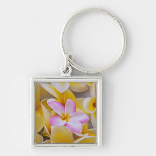 VS, Hawaï, Oahu, Plumeria bloemen in bloei 1 Sleutelhanger