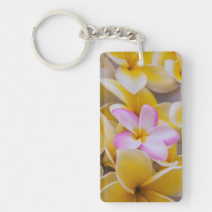 VS, Hawaï, Oahu, Plumeria bloemen in bloei 1 Sleutelhanger
