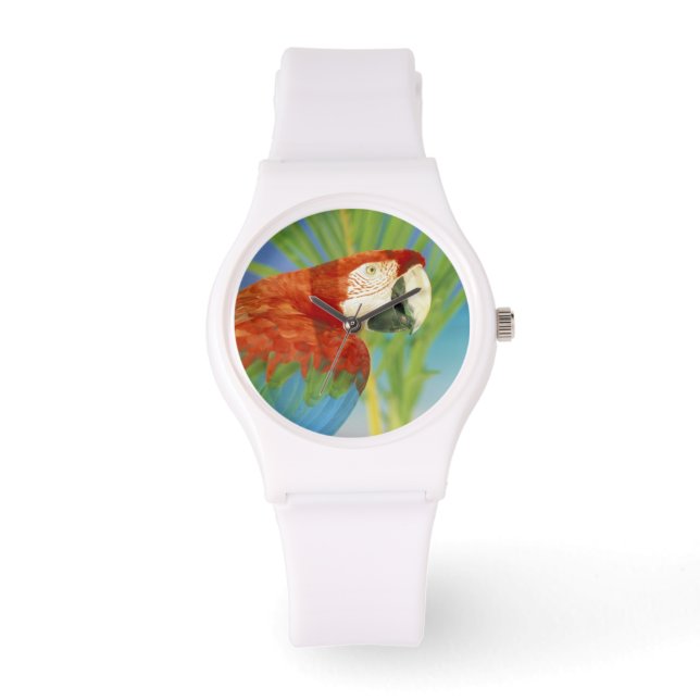 VS, Hawaï. Papegaai Horloge (Voorkant)