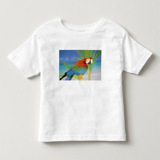 VS, Hawaï. Papegaai Kinder Shirts (Voorkant)