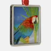 VS, Hawaï. Papegaai Metalen Ornament (Rechts)