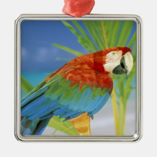 VS, Hawaï. Papegaai Metalen Ornament