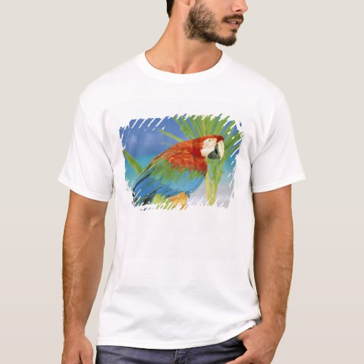 VS, Hawaï. Papegaai T-shirt (Voorkant)