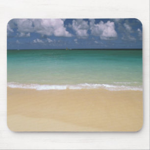 VS, Hawaï. Strandtafereel Muismat