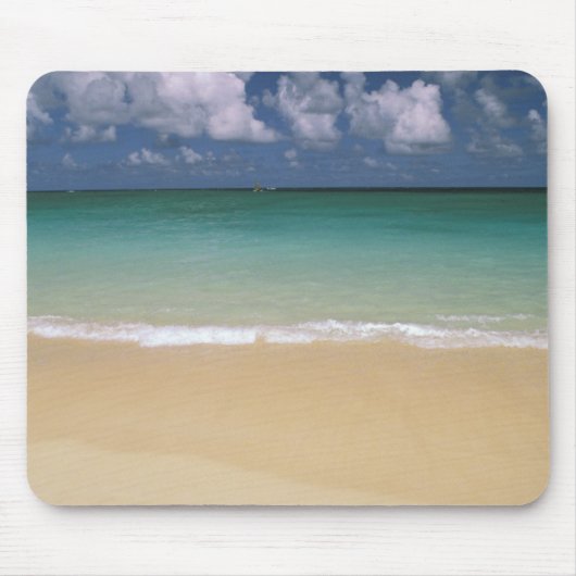 VS, Hawaï. Strandtafereel Muismat (Voorkant)