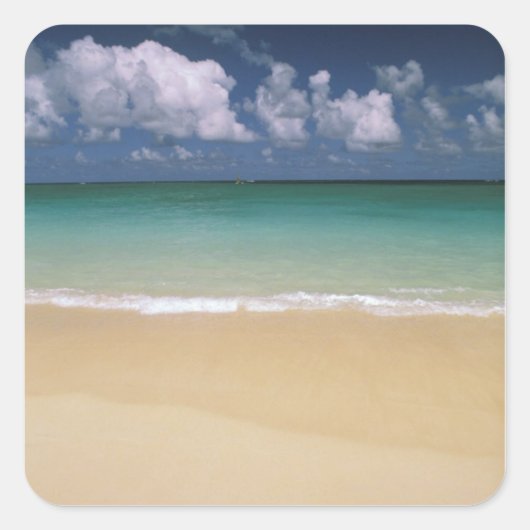 VS, Hawaï. Strandtafereel Vierkante Sticker (Voorkant)