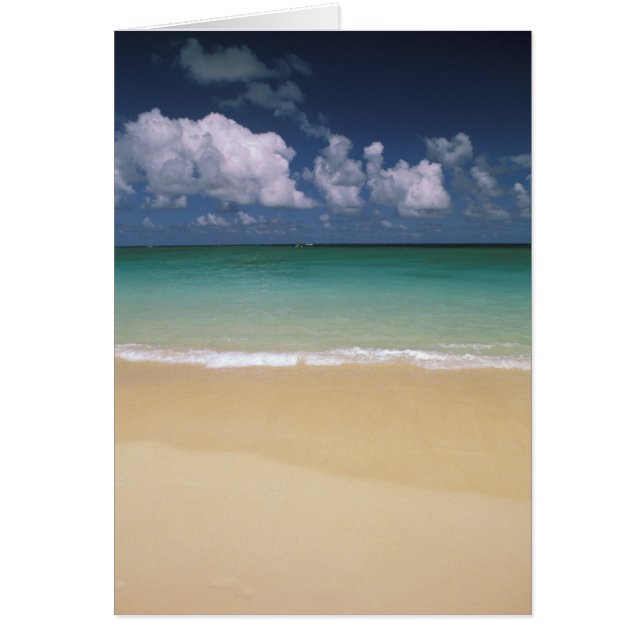 VS, Hawaii. Beach scène (Voorkant)