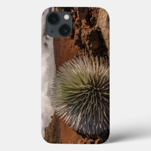 VS, Hawaii, Maui, Haleakala National Park Case-Mate iPhone Case