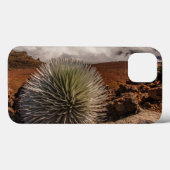VS, Hawaii, Maui, Haleakala National Park Case-Mate iPhone Case (Achterkant (horizontaal))